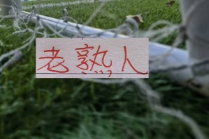 PG电子官方入口-六月赛程！三大豪门再见老相识 申花遇马莱莱